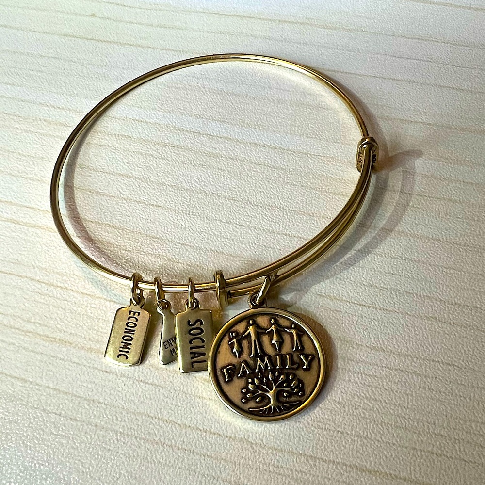 Alex and Ani gold family charm bracelet